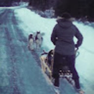 Meet your Posher, Baeduhnfarms